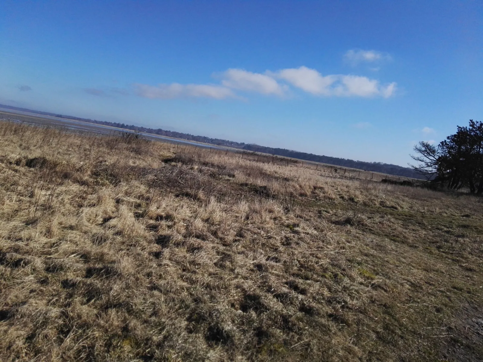 Mapillary-Foto in der Nähe von Badegewässer: DALBY STRAND