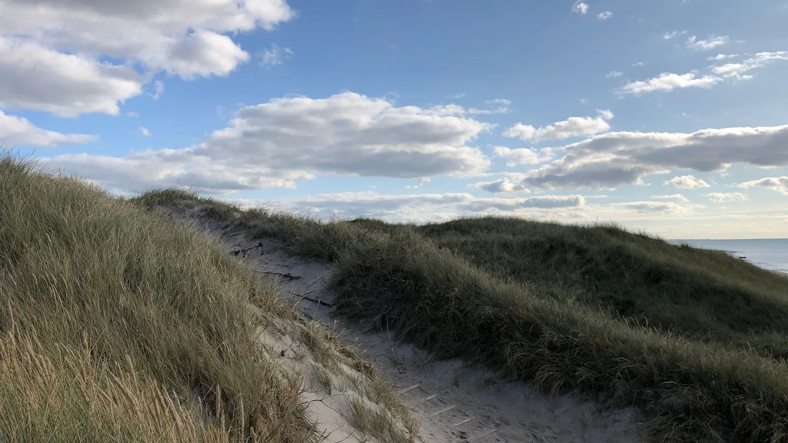 Mapillary-foto ved Badegewässer: VESTERHAVET SPIDSBJERG