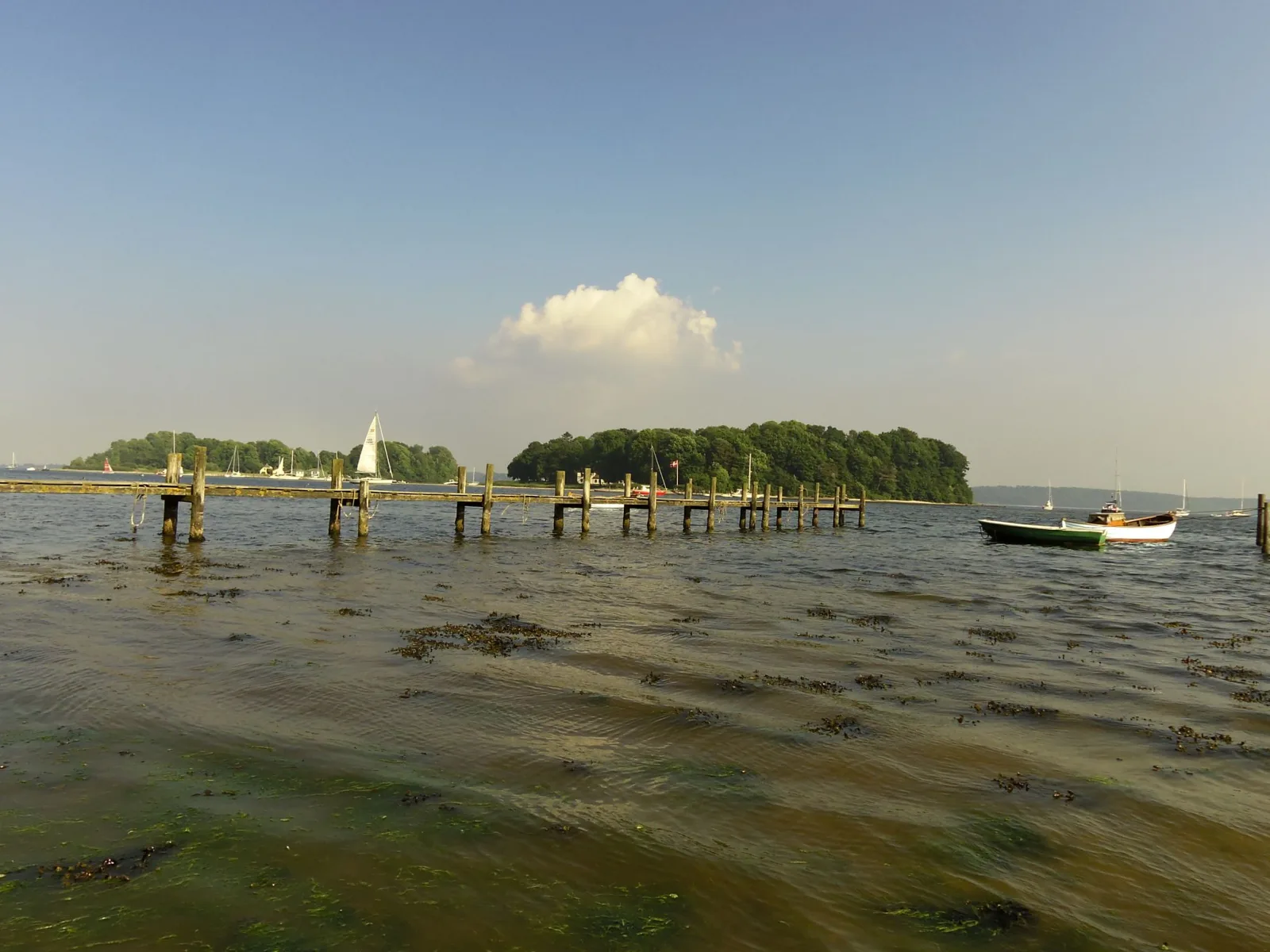 Badegewässer: SØNDERHAV