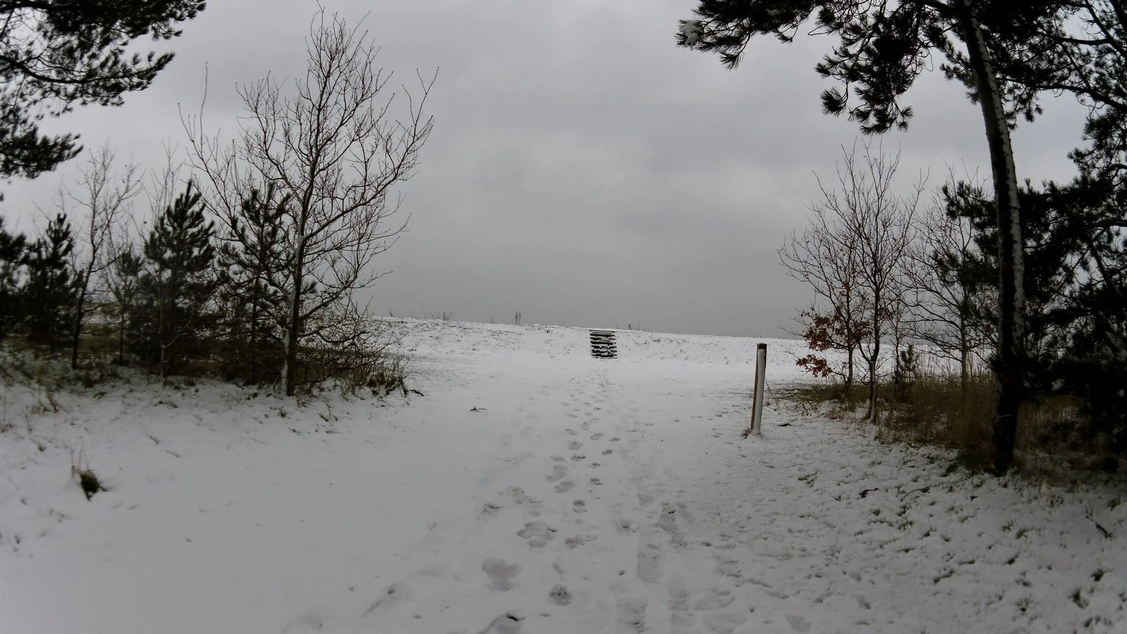 Mapillary-Foto bei Badegewässer: SKAVERUP STRAND