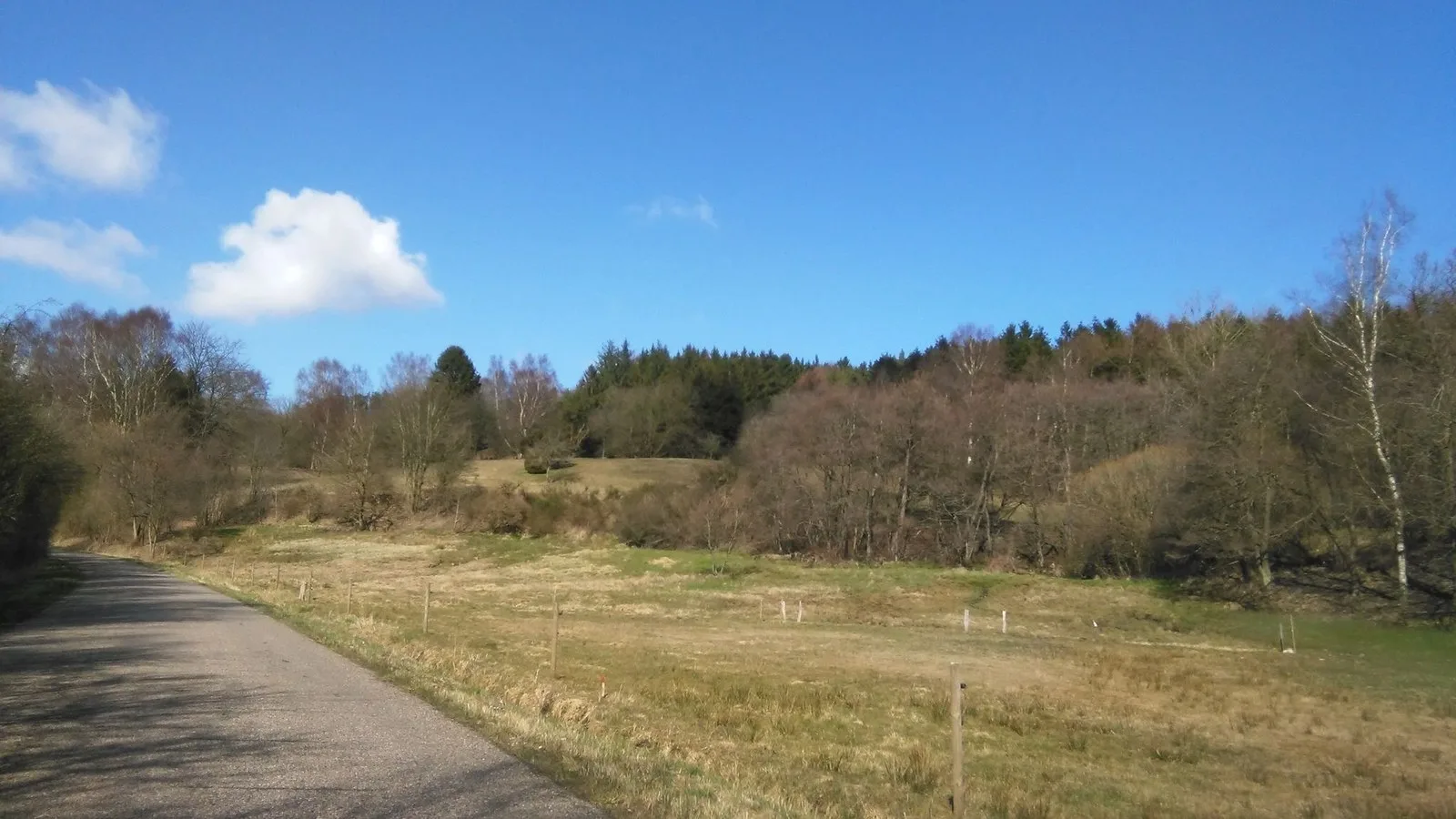 Mapillary-foto ved Badegewässer: BIRKHEDE CAMPING