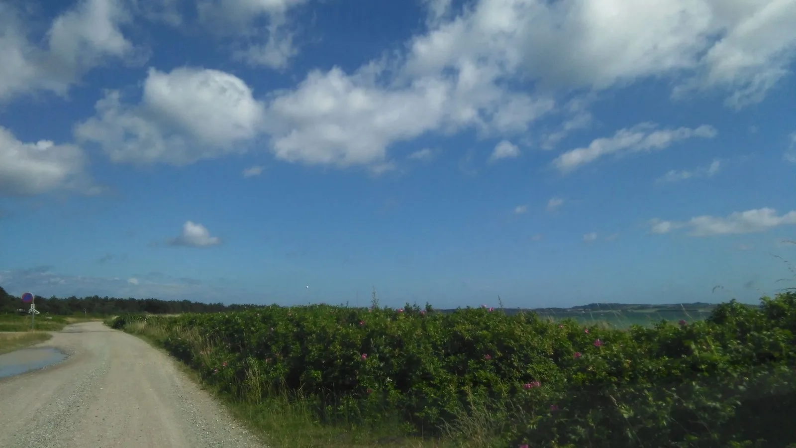 Mapillary-Foto bei Badegewässer: BEGTRUPVIG VEST