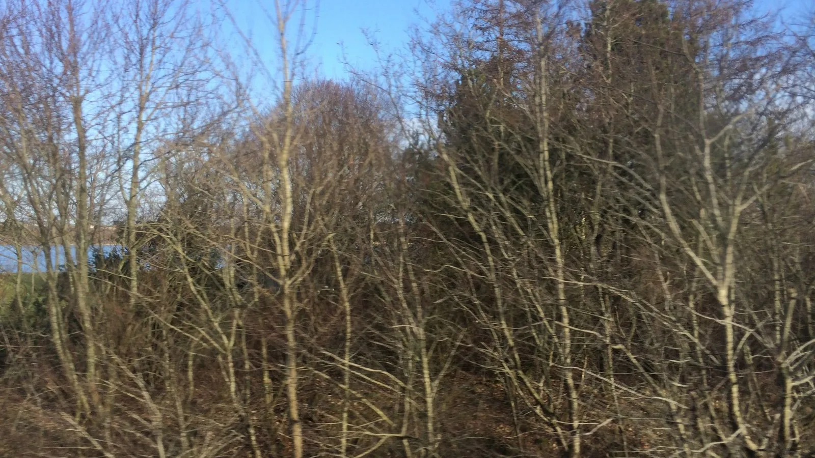 Mapillary-foto ved Badegewässer: KNUDMOSE SØ