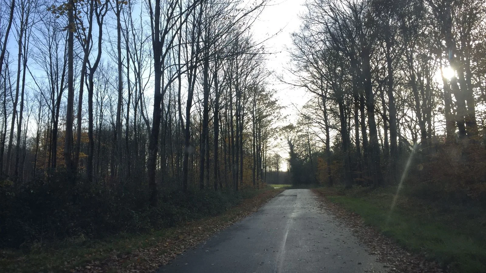 Mapillary-foto ved Badegewässer: BLIDSTANG VIG