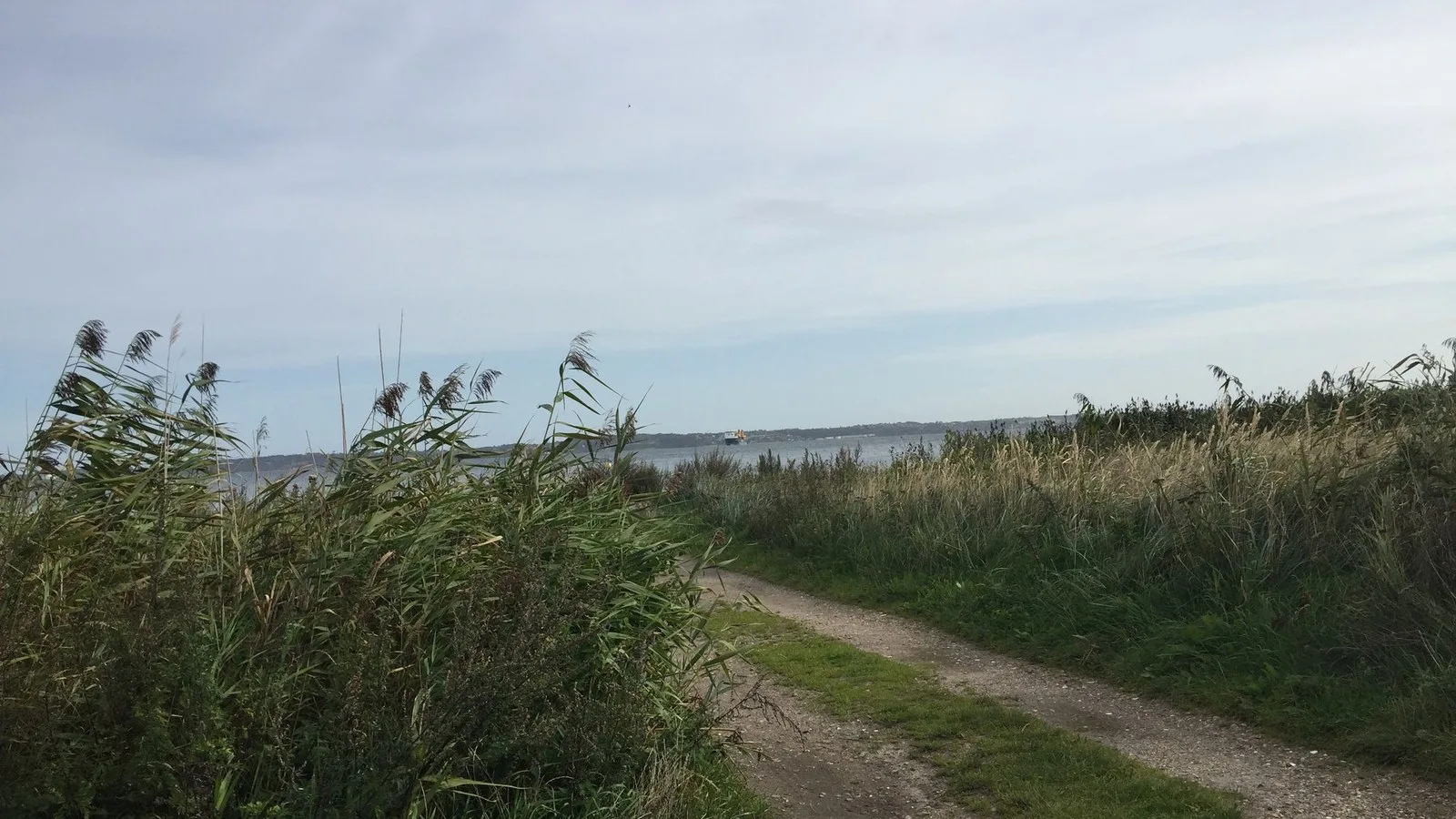 Mapillary-Foto bei Badegewässer: HAVNEMARKEN
