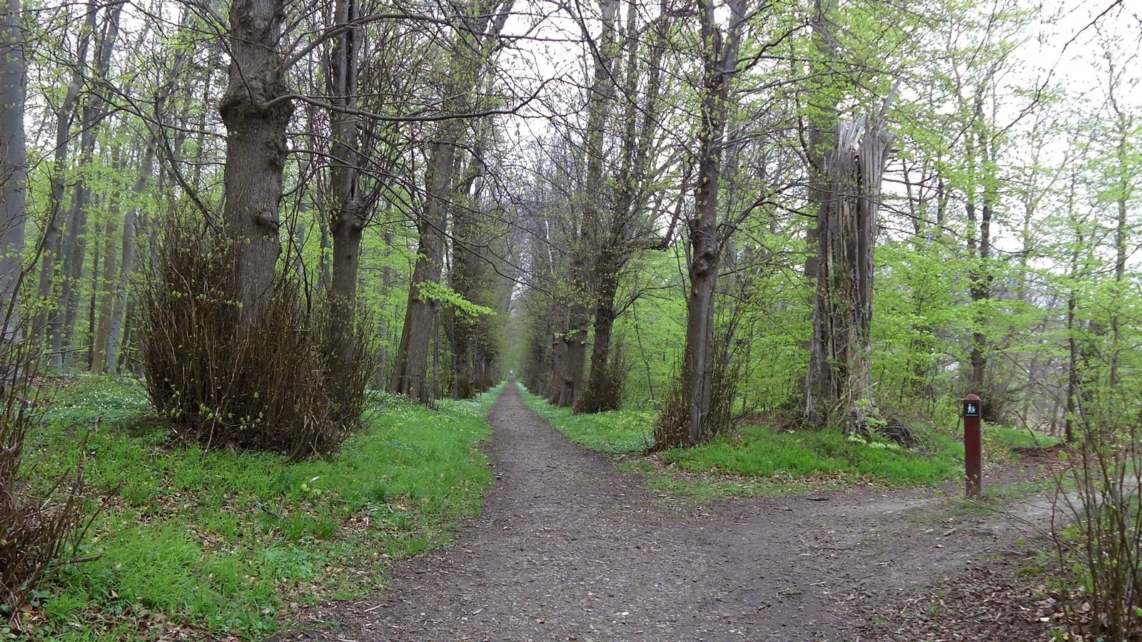 Mapillary-foto ved Badegewässer: BADEANSTALTEN I AUGUSTENBORG