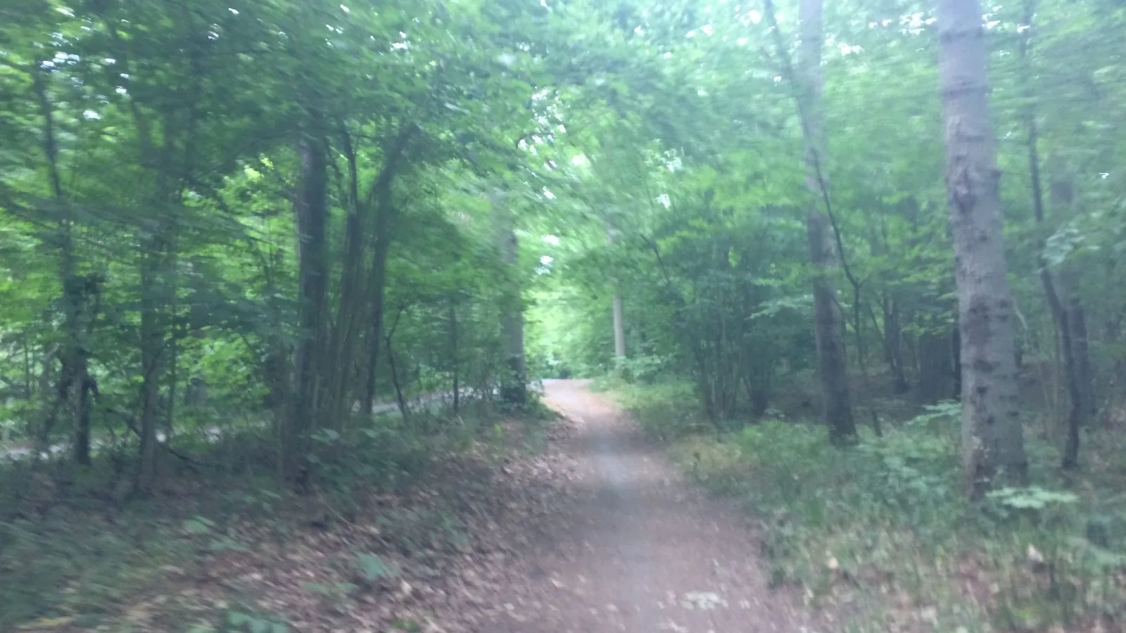Mapillary-foto ved Badegewässer: BLYKOBBE