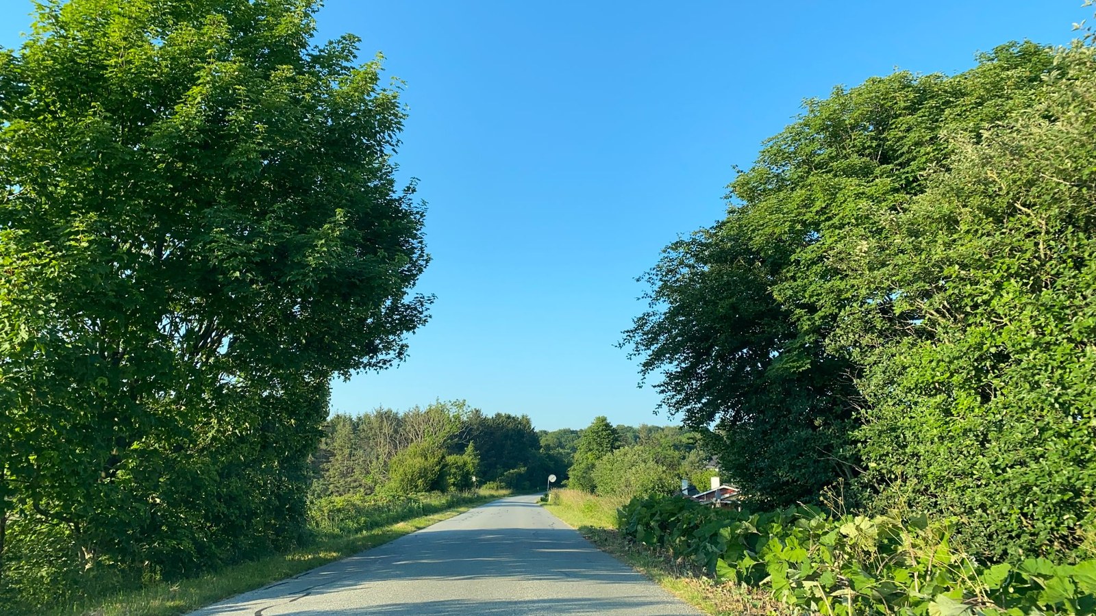 Mapillary-foto ved Badegewässer: VILSTRUP STRAND HOPTRUP KANAL