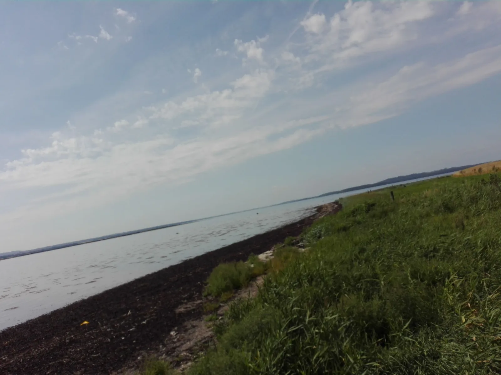 Badevand: ALRØ DAMPSKIBSBRO