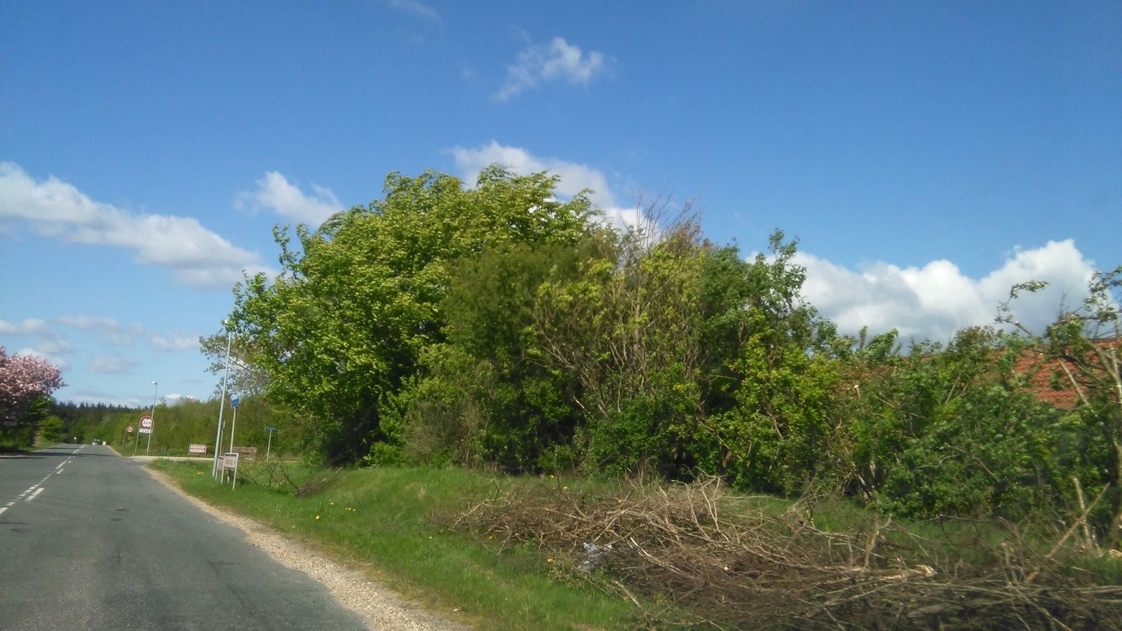 Mapillary-foto ved Badegewässer: GJESSØ