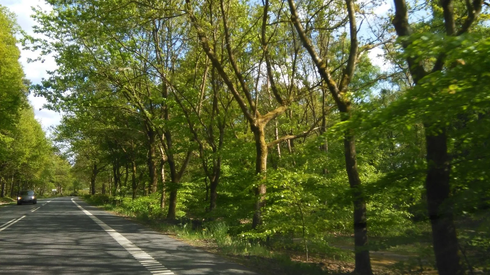 Mapillary-Foto bei Badegewässer: DE SMÅ FISK