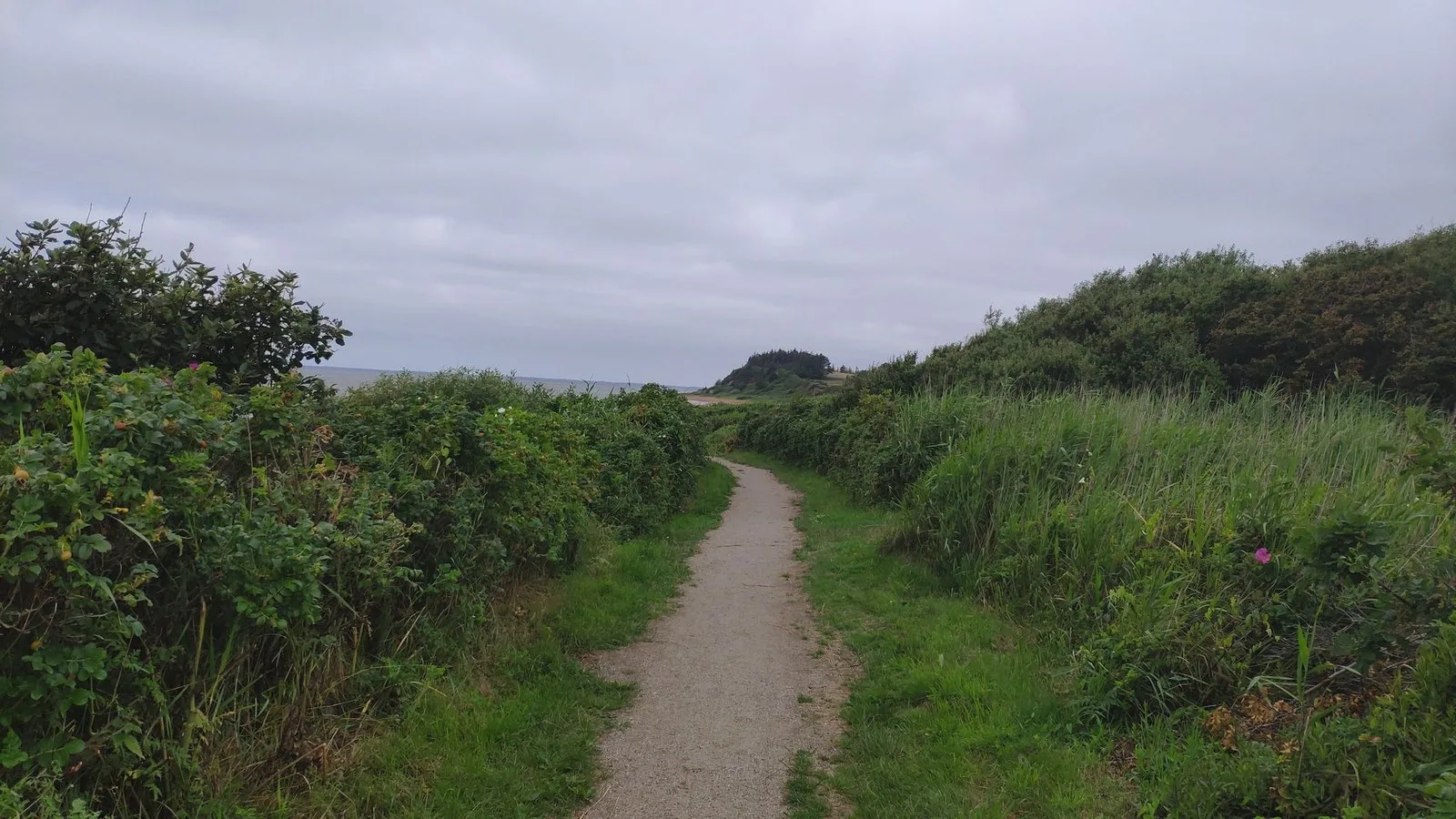 Mapillary-foto ved Badegewässer: HJERTING STRANDPARK