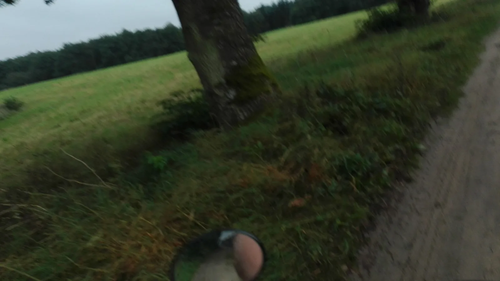 Mapillary-foto ved Badegewässer: HOLMENS CAMPING