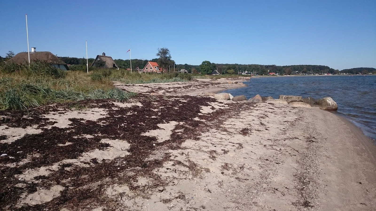 Mapillary-Foto von Strand oder Meer bei Badegewässer: BINDERUP STRAND