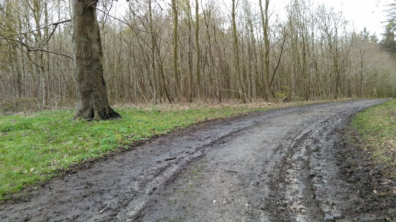 Mapillary-Foto bei Badegewässer: DYREBORG SKOV