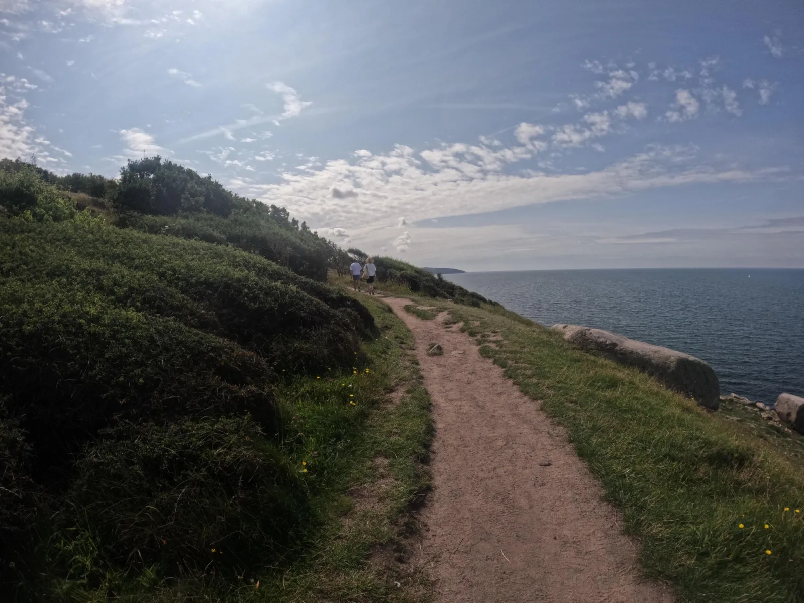 Mapillary-foto nær Frozen Chicken Væggen