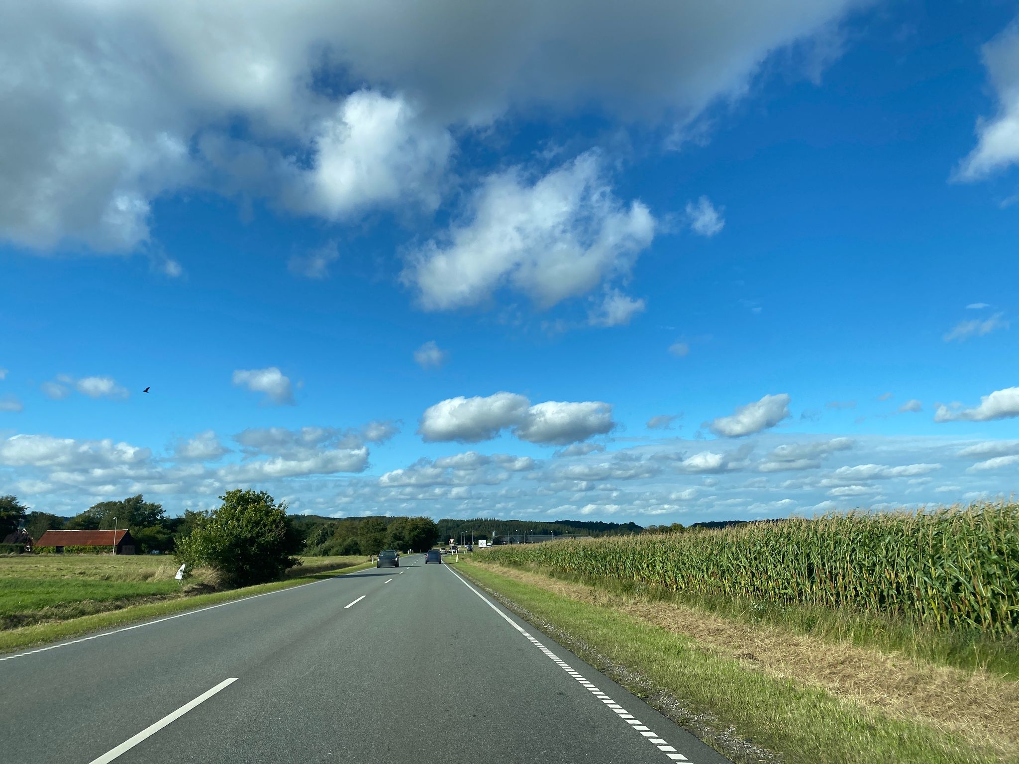 Mapillary-foto nær B:fit-Fitness