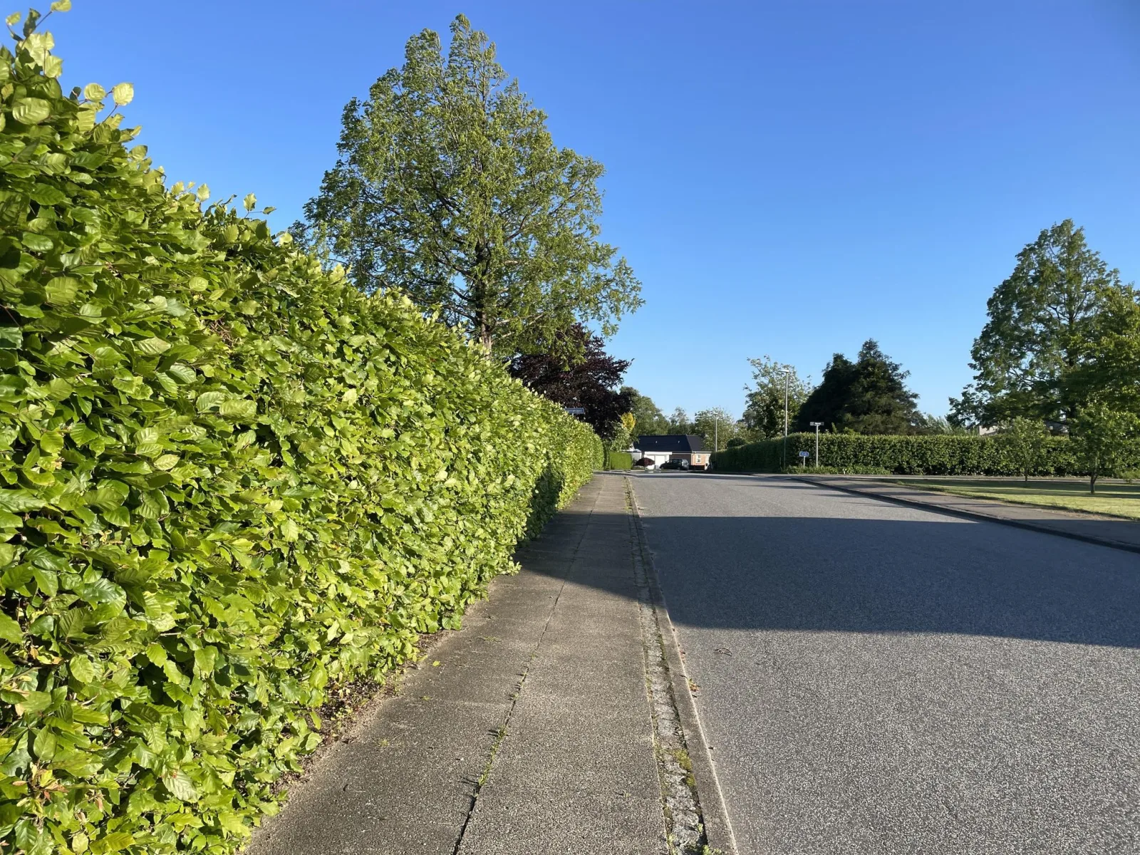 Mapillary-foto nær Marcelinos Spisested