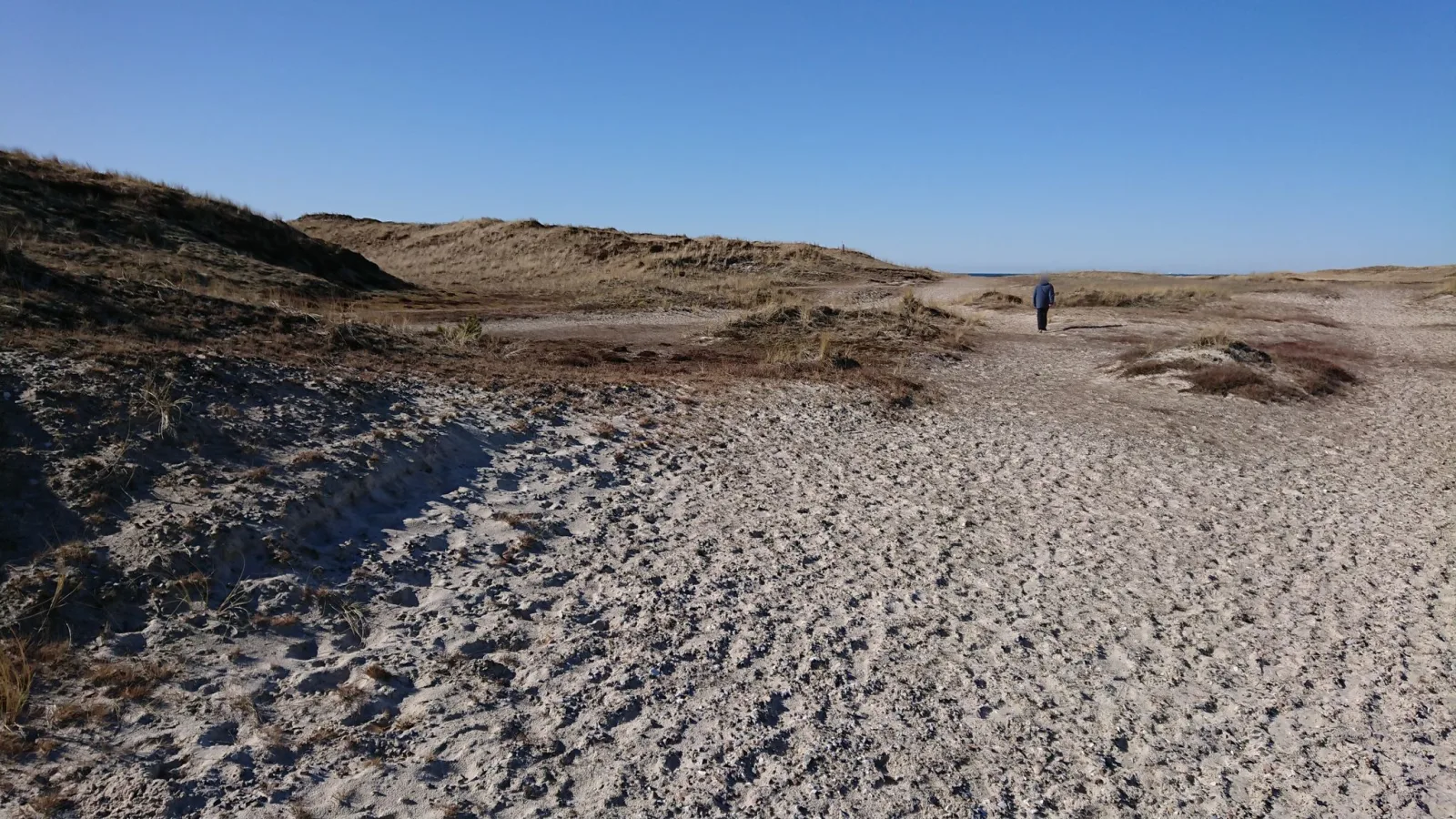 Mapillary-foto nær Råbjerg Stene