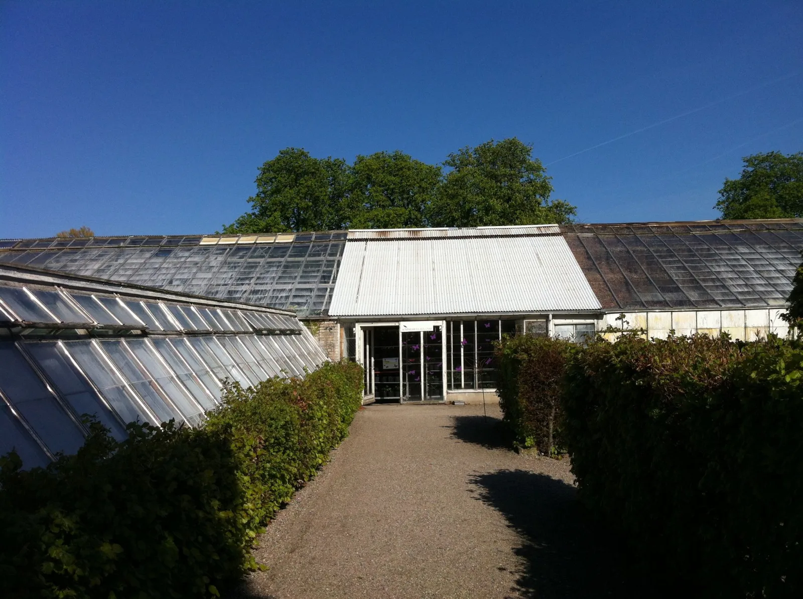 Mapillary-foto nær Sommerfugleland