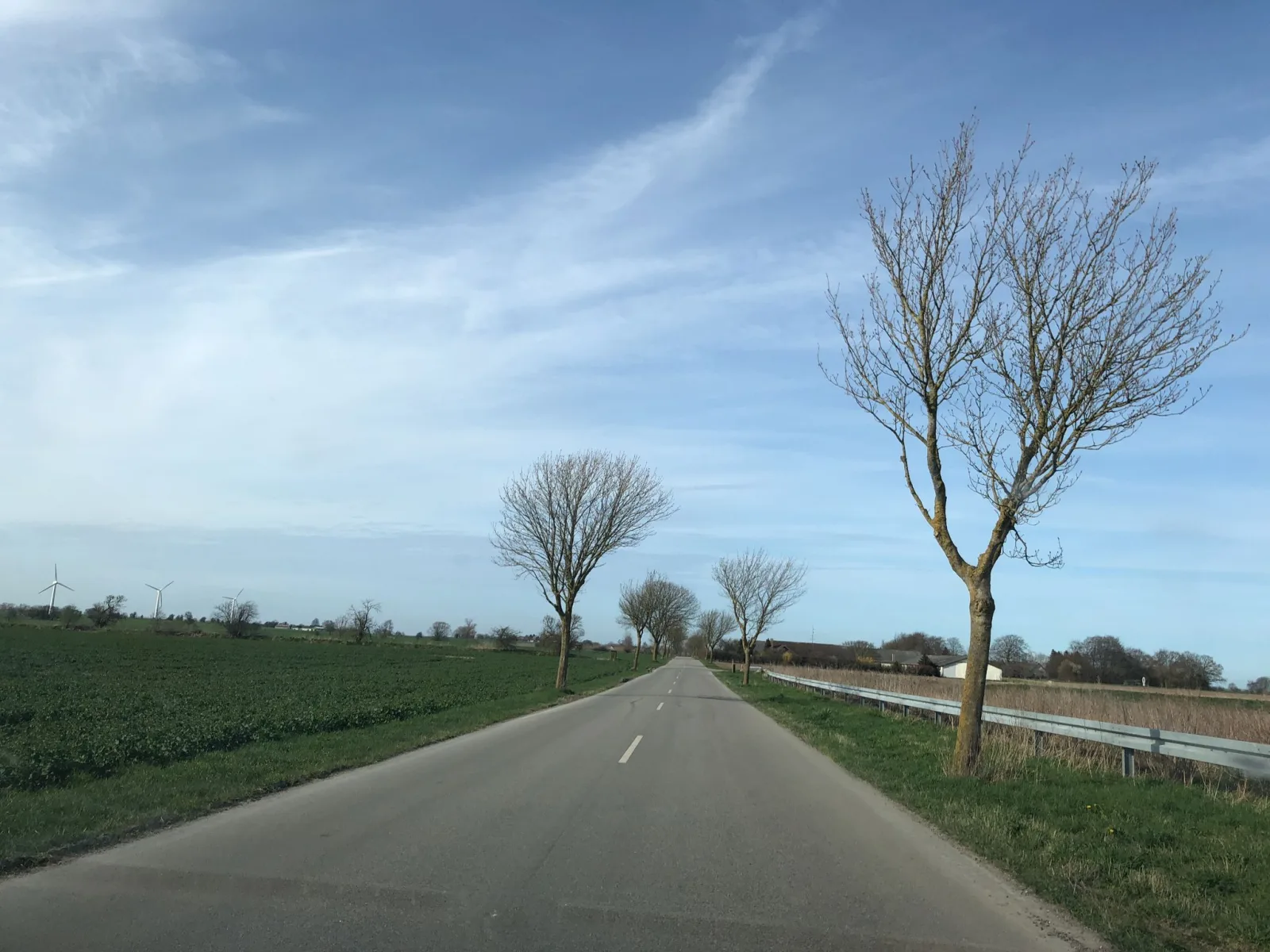 Mapillary-foto nær Stevns Kridtbrud