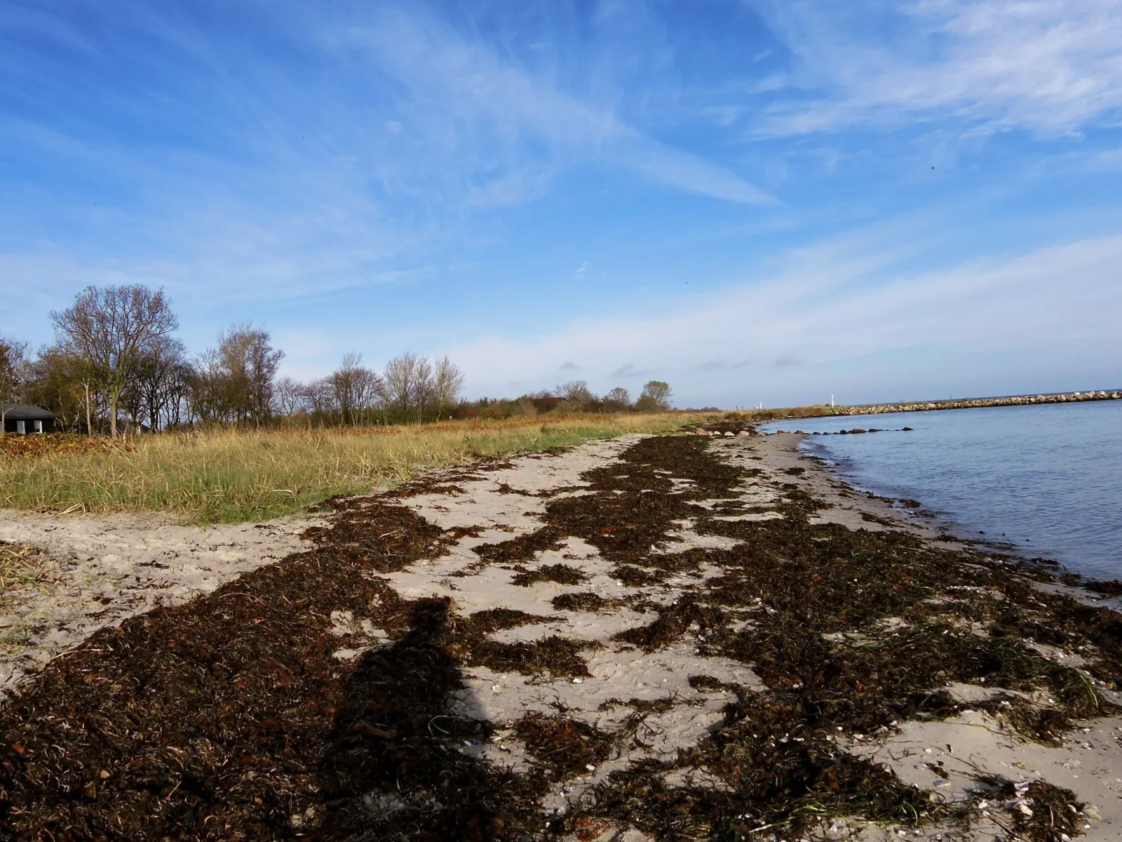 Hou Strand – udsigt til strand eller hav