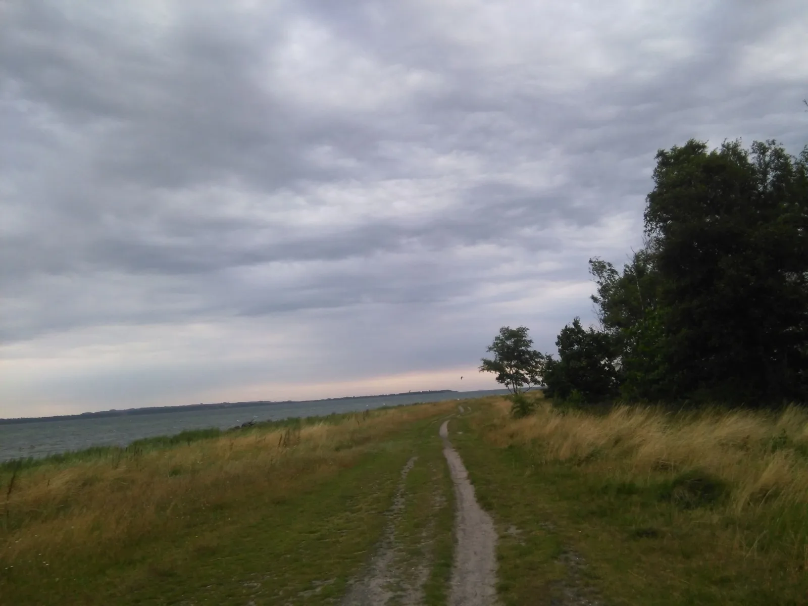 Badegewässer: SKÆRING STRANDPARK – Strand- oder Meerblick