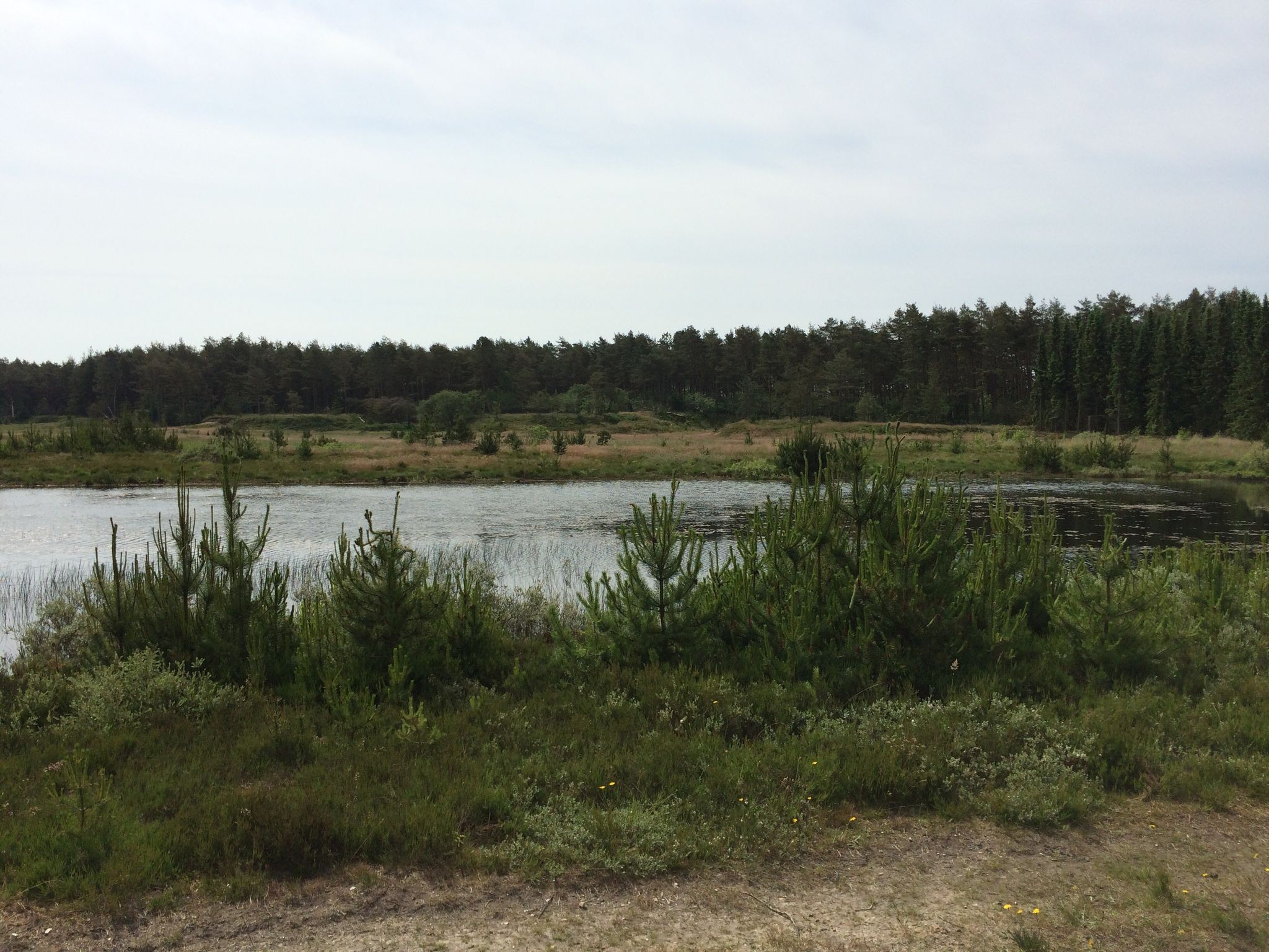Badegewässer: LYSTLUND SØ – udsigt til strand eller hav