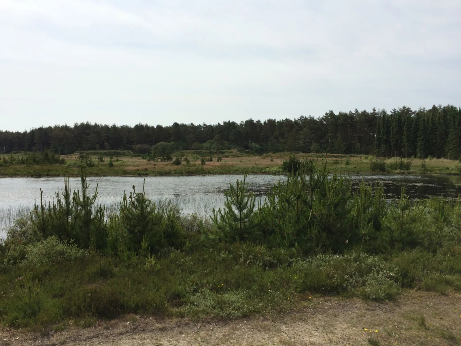 Badegewässer: LYSTLUND SØ – Strand- oder Meerblick