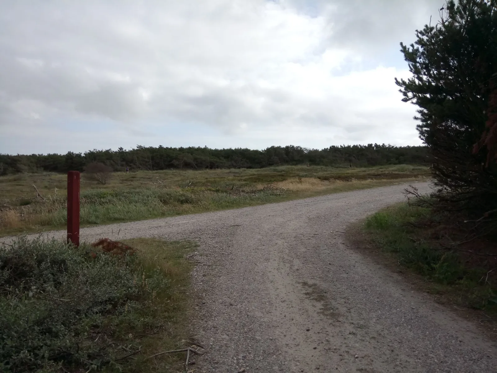 Badegewässer: SØ VED VESTER HUSBY V/ GRÆM STRAND – Strand- oder Meerblick