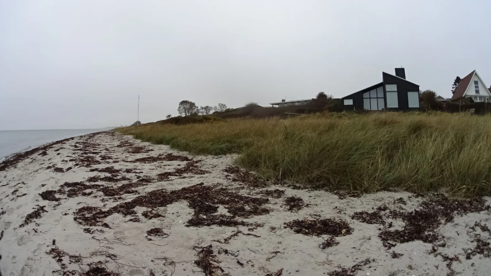 Badegewässer: DYNGBY STRAND – udsigt til strand eller hav